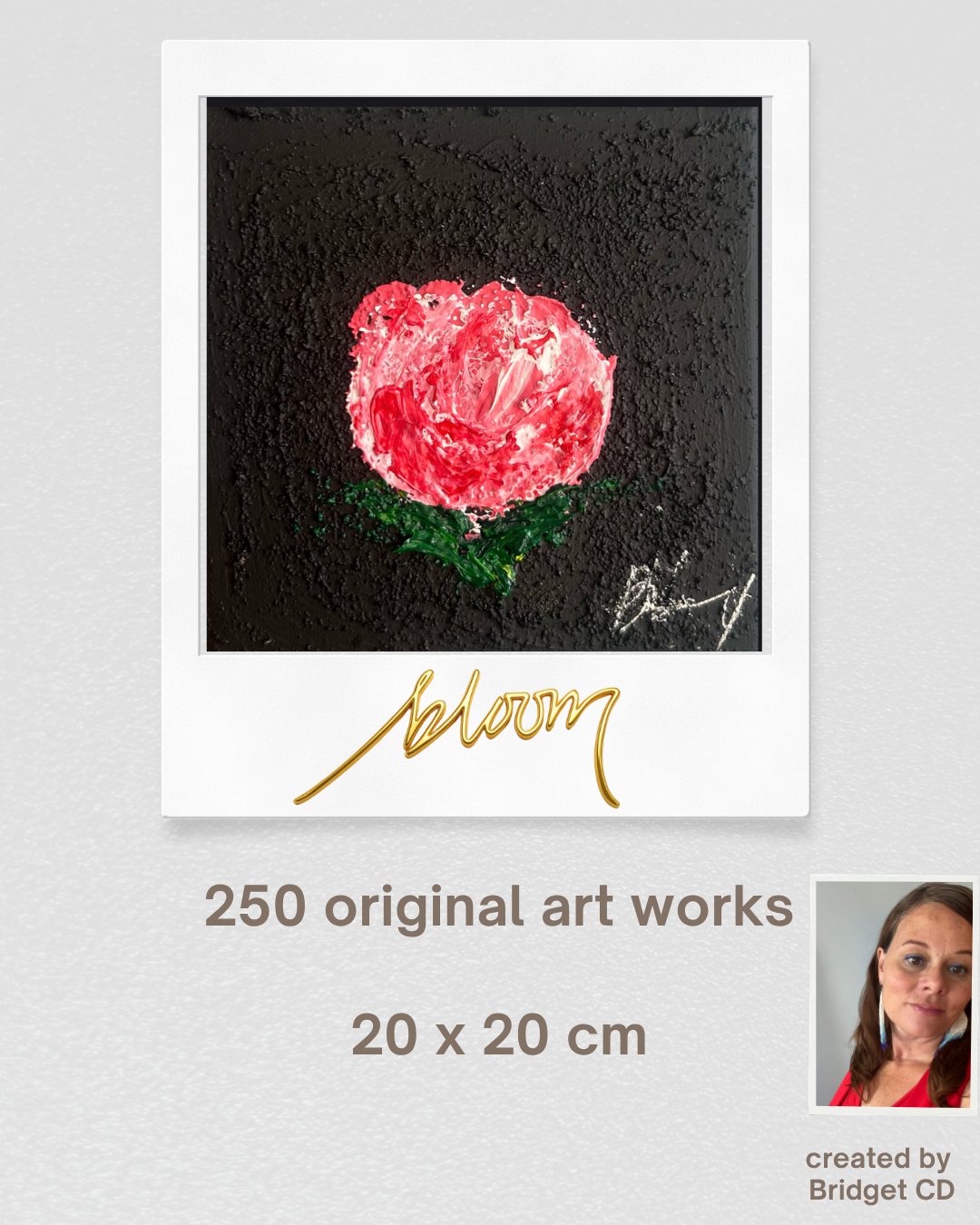 Bloom launch 1