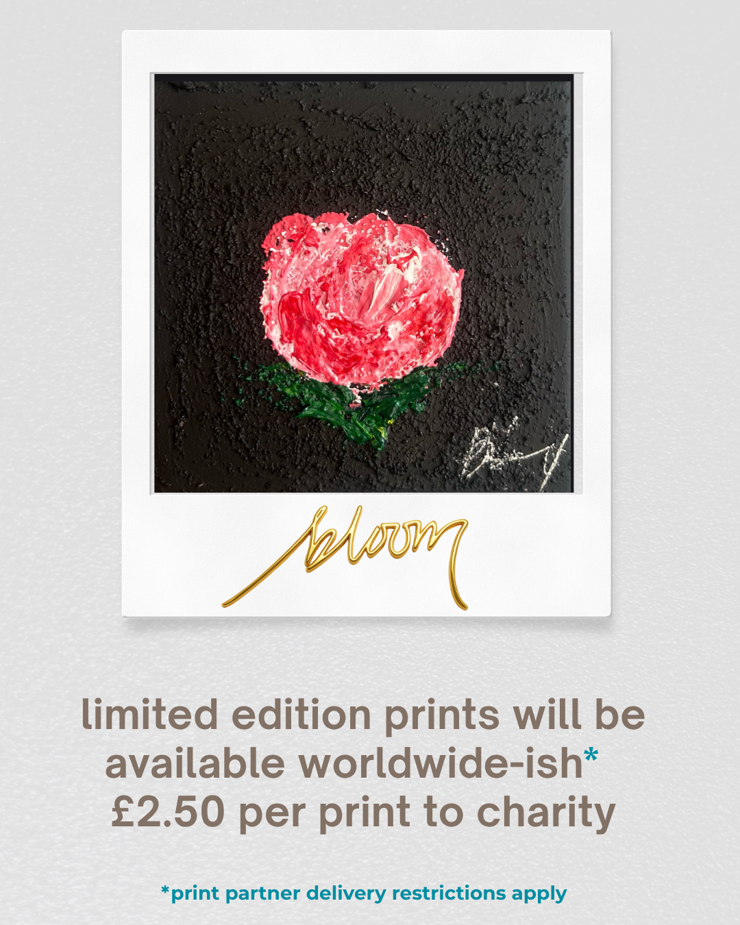 Bloom launch 7