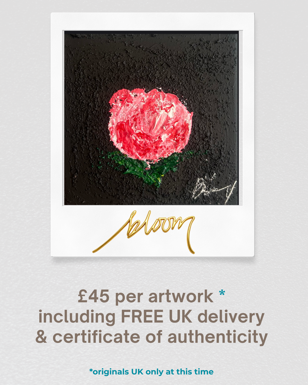 Bloom launch 6